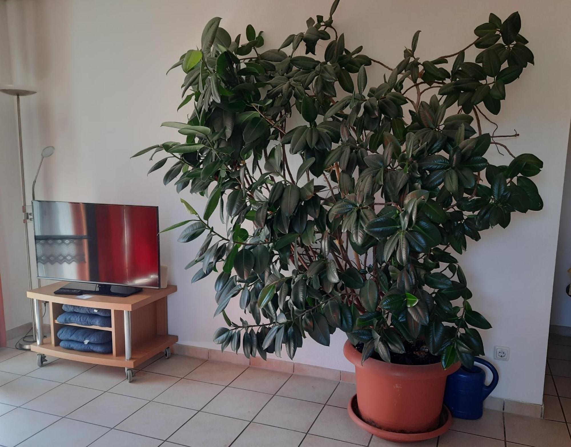 Ferienwohnung Ferstl Riedenburg Zewnętrze zdjęcie